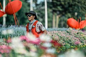 BIB: 
                            <button type="button" onclick="openModal(25933940)" class="btn btn-primary btn-sm float-right btn-popup" data-toggle="modal" data-target=".modal-high-quality">
                        <i class="fas fa-shopping-cart"></i> Add to Cart
                    </button>
                                            <button type="button" onclick="isThisMe(25933940, true)" class="btn btn-success btn-sm float-right btn-popup btn-isme hidden" data-toggle="tooltip" data-placement="bottom" title="นี่คือรูปของคุณใช่ไหม คลิกที่นี่เพื่อเอาเข้าอัลบั้ม">
                        <i class="fas fa-plus"></i> Add to album
                    </button>
                    <button type="button" onclick="isThisMe(25933940, false)" class="btn btn-warning btn-sm float-right btn-popup btn-isnotme hidden">
                        <i class="fas fa-ban"></i> Remove from album
                    </button>